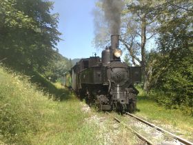 presse-ybbstalbahn-in-gaming.jpg